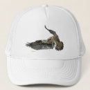 Recherche de le faucon casquettes Oiseau de proie