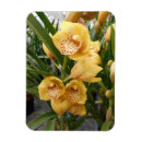 Recherche de orchidée magnets Jaune