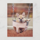 Suche nach baby animals postkarten Canine