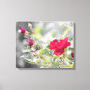 Recherche de toile de rose rouge Toute personne