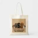Suche nach dackel taschen Welpe
