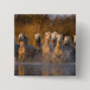 Recherche de provence badges Rivière