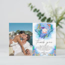 Suche nach danke delphin karten Tiere