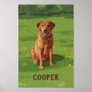 Suche nach fox poster Labrador retriever