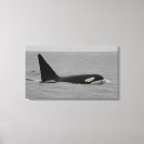Recherche de mammifère art Orque