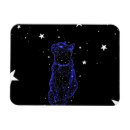 Recherche de observé magnets Chat