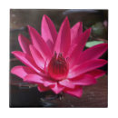 Suche nach kansas fliesen Blume