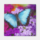 Recherche de tropical papillon magnets Coloré