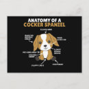 Suche nach cocker spaniel hunde postkarten Hundebesitzer