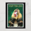 Recherche de zoo cartes postales Animal