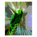 Recherche de perroquet vert posters Oiseau