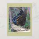 Recherche de graphique papillon cartes postales Papillons