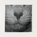 Suche nach nase kunst Katze