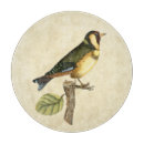 Recherche de oiseaux planches à découper Branche