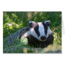 Recherche de blaireau cartes postales Photographie