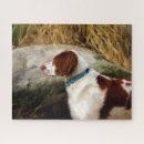 Recherche de breton puzzles Chien