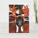 Suche nach weihnachtsschwein karten Weihnachtskarte