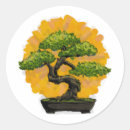Suche nach bonsai aufkleber Pflanze