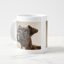 Suche nach welpe tassen Boxer