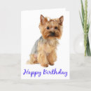 Suche nach yorkshire terrier geburtstag karten Welpe