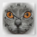 Recherche de yeux horloges Pour tous
