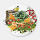 Recherche de légumes magnets Frais