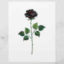 Recherche de rose et noir prospectus Fleur