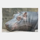 Recherche de somnolent photographie Mignon