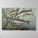 Recherche de monde sous marin posters Animaux