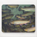 Suche nach forelle mousepads Natur