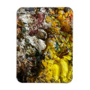 Recherche de palette magnets Jaune