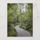 Suche nach ruhige landschaft postkarten Pflanze