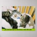 Recherche de suis endormi posters Animal