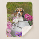 Suche nach beagle geschenke Für sie