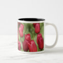 Recherche de keukenhof tasses Tulipe