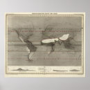 Suche nach niederschlag poster Klima