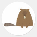 Recherche de castor mignon autocollants Rongeurs
