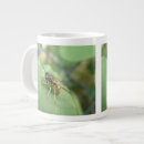Recherche de macro tasses Insecte