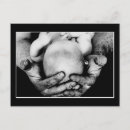 Recherche de freud cartes postales Papa