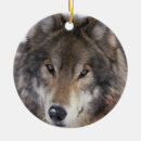 Suche nach grauer wolf ornamente Timberwolf