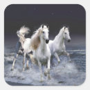 Suche nach für läufer aufkleber Tiere