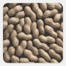 Recherche de noyer autocollants Arachide