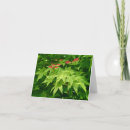 Suche nach ahornbaum karten Natur