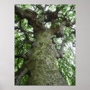 Recherche de gravure photographie Photographie de la nature