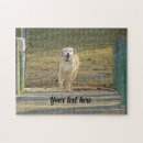 Suche nach labrador retriever puzzle Haustier