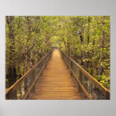Suche nach tropischer regenwald poster Horizontal
