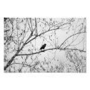 Recherche de de corneille art Faune