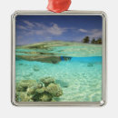 Suche nach süd ornamente Strand