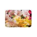 Recherche de inca photographie Alstroemeria