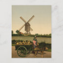 Recherche de belgie cartes postales Dog